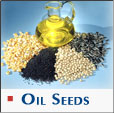 Oil Seeds